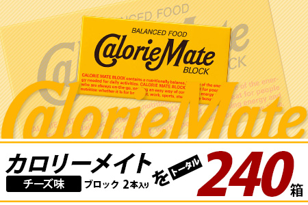 【12回定期便】≪チーズ味≫ カロリーメイトブロック 2本入り 計20箱 ×12回 合計240箱【徳島 那賀 大塚製薬 カロリーメイト チーズ ビタミン ミネラル たんぱく質 脂質 糖質 5大栄養素 バランス栄養食 栄養補給 仕事 勉強 スポーツ 防災 災害 地震 非常食 常備食 備蓄 受験 受験応援 新生活】MS-5-12-cheese