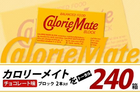 【12回定期便】≪チョコレート味≫ カロリーメイトブロック 2本入り 計20箱 ×12回 合計240箱【徳島 那賀 大塚製薬 カロリーメイト チョコ ビタミン ミネラル たんぱく質 脂質 糖質 5大栄養素 バランス栄養食 栄養補給 仕事 勉強 スポーツ 防災 災害 地震 非常食 常備食 備蓄 受験 受験応援 新生活】MS-5-12-choco
