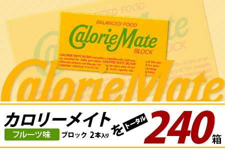 【12回定期便】≪フルーツ味≫ カロリーメイトブロック 2本入り 計20箱 ×12回 合計240箱【徳島 那賀 大塚製薬 カロリーメイト フルーツ ビタミン ミネラル たんぱく質 脂質 糖質 5大栄養素 バランス栄養食 栄養補給 仕事 勉強 スポーツ 防災 災害 地震 非常食 常備食 備蓄 受験 受験応援 新生活】MS-5-12-fruit