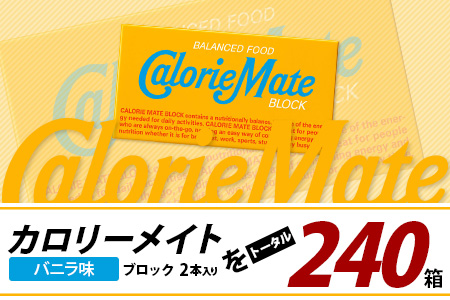 【12回定期便】≪バニラ味≫ カロリーメイトブロック 2本入り 計20箱 ×12回 合計240箱【徳島 那賀 大塚製薬 カロリーメイト バニラ ビタミン ミネラル たんぱく質 脂質 糖質 5大栄養素 バランス栄養食 栄養補給 仕事 勉強 スポーツ 防災 災害 地震 非常食 常備食 備蓄 受験 受験応援 新生活】MS-5-12-vanilla