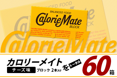 【3回定期便】≪チーズ味≫ カロリーメイトブロック 2本入り 計20箱 ×3回 合計60箱【徳島 那賀 大塚製薬 カロリーメイト チーズ ビタミン ミネラル たんぱく質 脂質 糖質 5大栄養素 バランス栄養食 栄養補給 仕事 勉強 スポーツ 防災 災害 地震 非常食 常備食 備蓄 受験 受験応援 新生活】MS-5-3-cheese