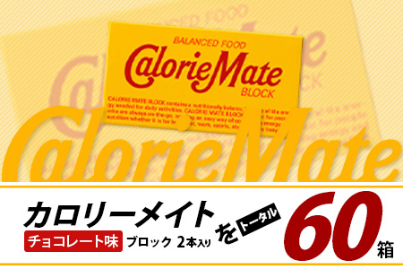 【3回定期便】≪チョコレート味≫ カロリーメイトブロック 2本入り 計20箱 ×3回 合計60箱【徳島 那賀 大塚製薬 カロリーメイト チョコ ビタミン ミネラル たんぱく質 脂質 糖質 5大栄養素 バランス栄養食 栄養補給 仕事 勉強 スポーツ 防災 災害 地震 非常食 常備食 備蓄 受験 受験応援 新生活】MS-5-3-choco