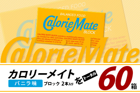 【3回定期便】≪バニラ味≫ カロリーメイトブロック 2本入り 計20箱 ×3回 合計60箱【徳島 那賀 大塚製薬 カロリーメイト バニラ ビタミン ミネラル たんぱく質 脂質 糖質 5大栄養素 バランス栄養食 栄養補給 仕事 勉強 スポーツ 防災 災害 地震 非常食 常備食 備蓄 受験 受験応援 新生活】MS-5-3-vanilla