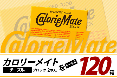 【6回定期便】≪チーズ味≫ カロリーメイトブロック 2本入り 計20箱 ×6回 合計120箱【徳島 那賀 大塚製薬 カロリーメイト チーズ ビタミン ミネラル たんぱく質 脂質 糖質 5大栄養素 バランス栄養食 栄養補給 仕事 勉強 スポーツ 防災 災害 地震 非常食 常備食 備蓄 受験 受験応援 新生活】MS-5-6-cheese