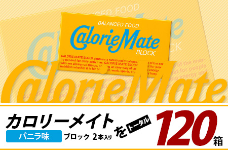 【6回定期便】≪バニラ味≫ カロリーメイトブロック 2本入り 計20箱 ×6回 合計120箱【徳島 那賀 大塚製薬 カロリーメイト バニラ ビタミン ミネラル たんぱく質 脂質 糖質 5大栄養素 バランス栄養食 栄養補給 仕事 勉強 スポーツ 防災 災害 地震 非常食 常備食 備蓄 受験 受験応援 新生活】MS-5-6-vanilla