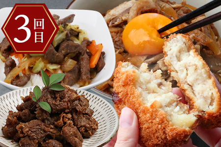 【ジビエ定期便 3回配送】国産 徳島県産【阿波地美栄】極上ジビエのお試し定期便 [徳島 那賀 ジビエ じびえ 阿波地美栄 地美栄 鹿 鹿肉 定期便 3回 鹿ロース肉 フランクフルト ウィンナー ソーセージ 焼肉用 しか肉 鹿スジ肉 鹿スジ丼 丼 コロッケ 冷凍 冷凍コロッケ]【NH-39】