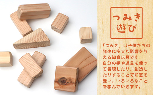 「木頭杉の積み木セット」徳島県立那賀高等学校 森林クリエイト科制作【徳島県 徳島 那賀町 高校生制作 積木 積み木 知育 木育 玩具 おもちゃ 知育玩具 木の積み木 幼児 教育 木頭杉 杉 天然木 木製 無塗装 国産 手作り】 NK-01 通常用