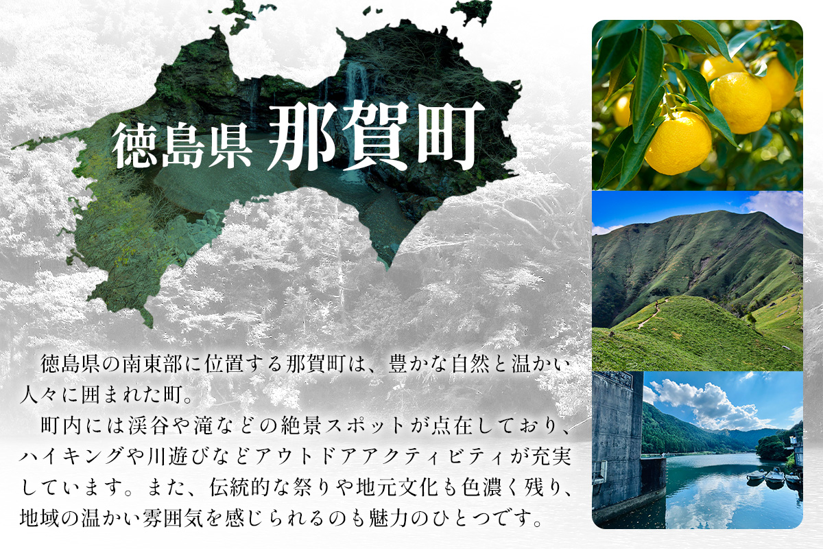 【橋本山林】一日一組限定ツアー（1～9月）1名様 【徳島県 那賀町 ツアー イベント 現地体験型 体験 旅行 グループ 限定 仲間 社員研修 環境学習】NM-11