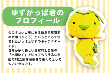 台座付きアクリルキーホルダー (座りゆずがっぱ) 1個【徳島県 那賀町 キーホルダー アクキー ゆずがっぱ かっぱ カッパ 河童 グッズ かわいい ゆるかわ アクセサリー プレゼント ギフト 子供 プレゼント ご当地キャラ】OM-108