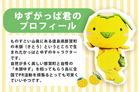 2WAYサコッシュ（ゆずがっぱ）1個【徳島県 那賀町 ゆずがっぱ かっぱ カッパ 河童 グッズ サコッシュ 2WAY 軽量 オシャレ ポーチ シンプル 実用的 プレゼント ご当地キャラ】OM-109