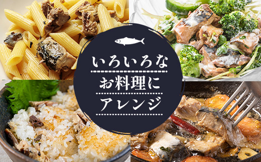 【24缶入り】寒さば　木頭ゆず水煮 OM-42 黄金の村 木頭柚子 木頭ゆず きとう柚子 きとうゆず ゆず 柚子 サバ 鯖 鯖缶 サバ缶 さば さば缶 缶詰 寒サバ セット 水煮