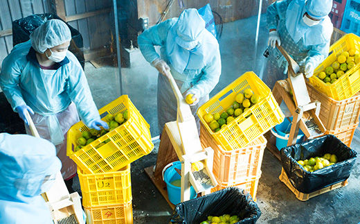 【農薬・化学肥料不使用】木頭ゆず一番しぼり 生果汁 720ml×1本 (要冷蔵)【徳島県 那賀町 木頭地区 木頭 木頭ゆず 木頭ユズ 木頭柚子 果汁 生果汁 100% 手搾り 新鮮 国産 非加熱 調味料 料理 飲み物 ドリンク カクテル 万能】OM-73