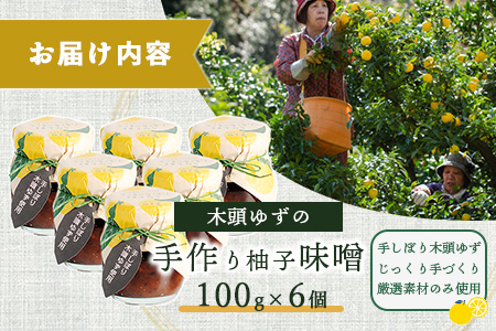 木頭ゆずの手作り柚子みそ 100g 6個【徳島県 那賀町 木頭 ゆず 柚子 ユズ 木頭柚子 木頭ゆず 味噌 ミソ おかず味噌 ご飯 おにぎり ごはんのおとも お酒のお供 ご飯のおかず お酒のあて 瓶 お取り寄せ 手作り 柚冬庵】YA-22 6個