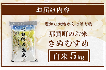 「令和6年産 新米 先行受付」徳島県那賀町相生産 きぬむすめ 白米 5kg 1袋 「2024年10月上旬より発送」【徳島 那賀 国産 徳島県産 お米 こめ おこめ 米 ご飯 ごはん 白ご飯 白米 5キロ 和食 おにぎり お弁当 白米 精米 新米 お取り寄せ 産地直送】YS-34