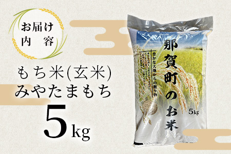 那賀町相生産 みやたまもち 玄米 5kg 1袋【徳島 那賀 国産 徳島県産 ミヤタマモチ お米 こめ おこめ 餅米 もち米 お餅 モチ米 米 玄米 5キロ 餅 お正月 おはぎ 赤飯 おこわ ちまき 多用途 おいしい 食べて応援 お取り寄せ 産地直送】YS-43
