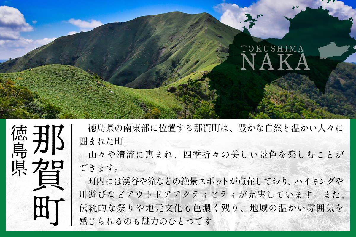 那賀町×徳島ガンバロウズ コラボオーセンティックユニフォーム (全選手・HCサイン入り) Sサイズ【徳島県 那賀町 バスケットボール プロチーム グッズ コラボ ユニフォーム 応援グッズ スポーツ オフィシャルグッズ オリジナル 限定】GT-03-s Sサイズ