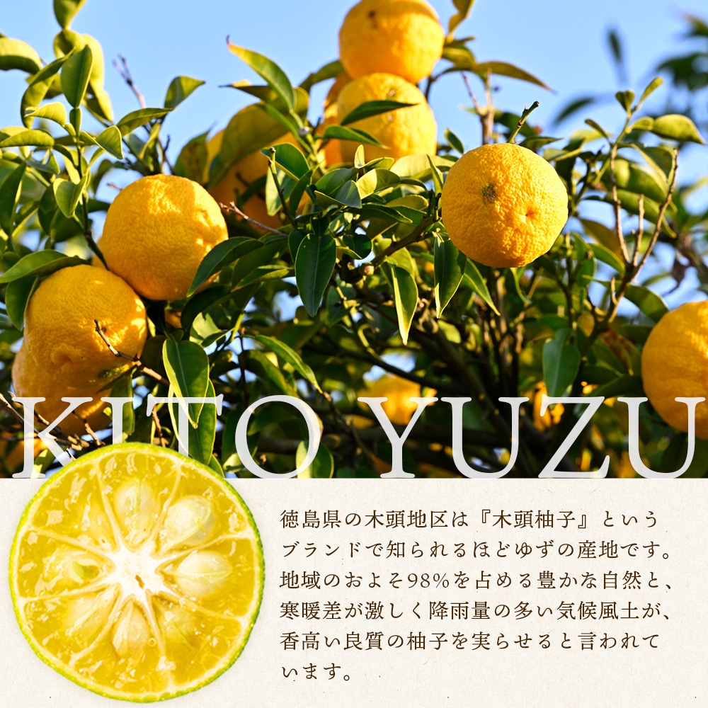 木頭柚子ごしょう赤 45g×8個【徳島県 那賀町 木頭ゆず 木頭柚子 ゆず ユズ 柚子 ゆずこしょう 柚子胡椒 胡椒 こしょう 調理みそ 調味料 万能 薬味 瓶 国産 手作り お取り寄せ お土産】KM-25 45g×8個