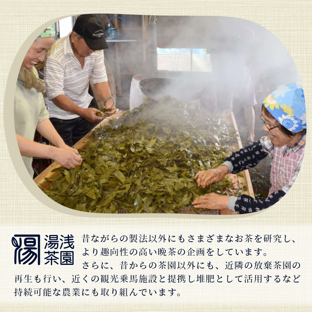 湯浅茶園 阿波晩茶 ドリップバッグ 3g×6個入×3袋【徳島県 那賀町 徳島 那賀 阿波晩茶 相生晩茶 番茶 国産 生産者直送 乳酸菌 特産品 発酵茶 ティーパック ティーバッグ お茶 赤ちゃん 子供 妊婦さん お取り寄せ お土産 伝統製法 手作り 数量限定 期間限定】YT-2