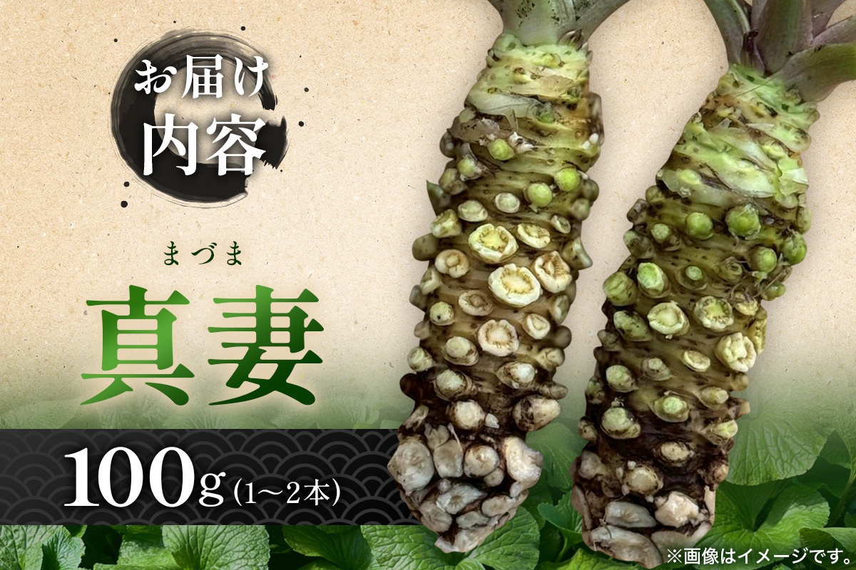 那賀わさび (真妻) 約100g 1～2本【徳島県 那賀町 生産者直送 産地直送 本わさび わさび ワサビ 生わさび 山葵 野菜 香味野菜 国産 真妻 薬味 調味料 万能 新鮮】FN-06 那賀わさび (真妻) 約100g 1～2本