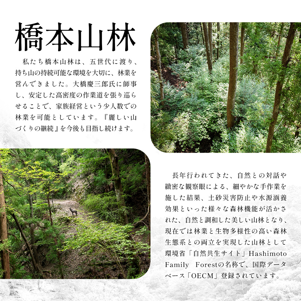 【橋本山林】一日一組限定ツアー（1～9月）1名様 【徳島県 那賀町 ツアー イベント 現地体験型 体験 旅行 グループ 限定 仲間 社員研修 環境学習】NM-11