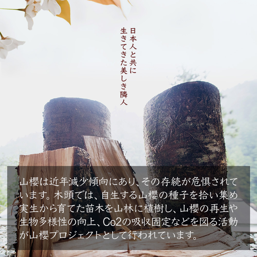 【数量限定】Kanon 携帯靴ベラ（山櫻×太布）1個【徳島県 那賀町 国産 日本製 木頭杉 山櫻 靴ベラ 靴べら ケース 携帯用 持ち運び コンパクト 日用品 雑貨 新生活 仕事 工芸品 木製品 天然木 高級感 職人 手づくり プレゼント ギフト 記念品 贈答用 】WH-31