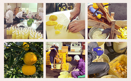 柚冬庵で使えるお買物券 3,000円分 (500円×6枚)【徳島県 那賀町 お買物券 お買い物券 商品券 チケット ギフト券 贈り物 プレゼント 柚冬庵】YA-77 3,000円分 (500円×6枚)