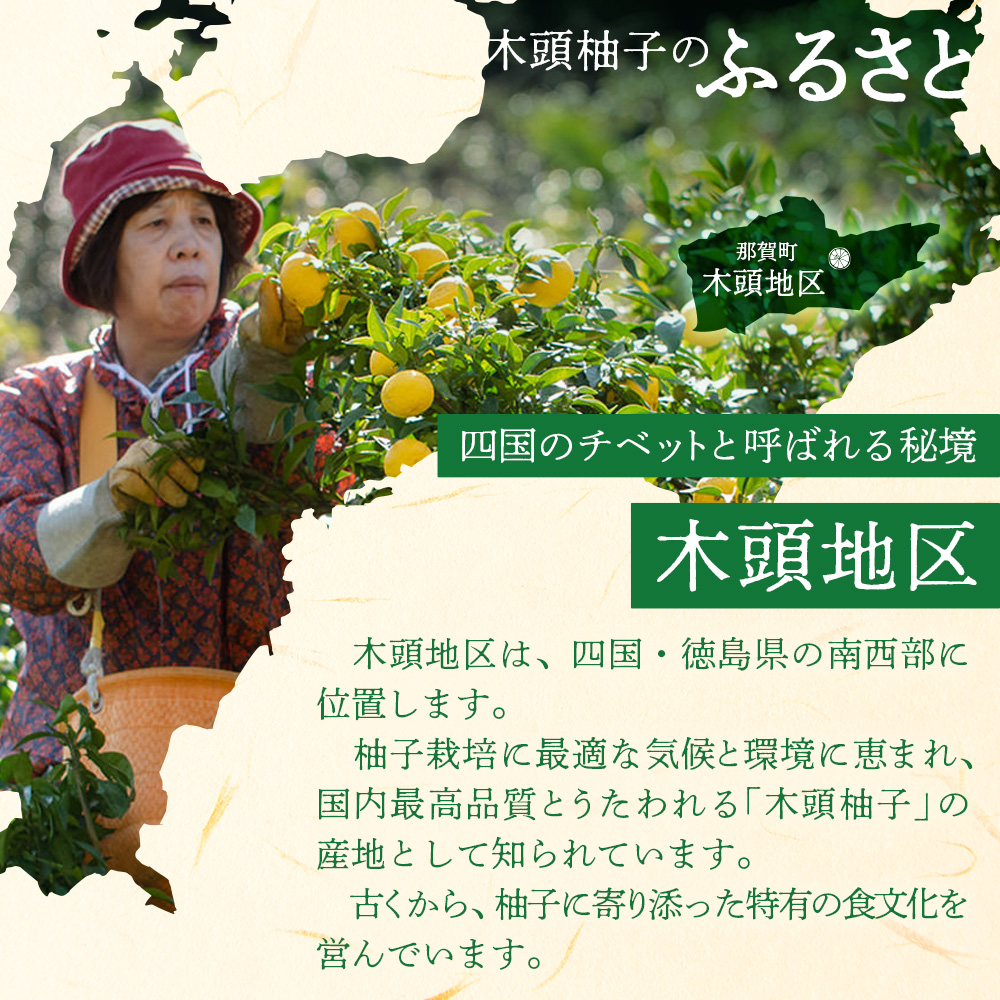 木頭柚子酢みそ パック 130g×3個【徳島県 那賀町 木頭 木頭柚子 木頭ゆず ゆず 柚子 ユズ 酢味噌 酢みそ すみそ ミソ ご飯 おにぎり ごはんのおとも お酒のお供 ご飯のおかず お酒のあて お取り寄せ 手作り チューブ 柚冬庵】YA-83 130g×3個