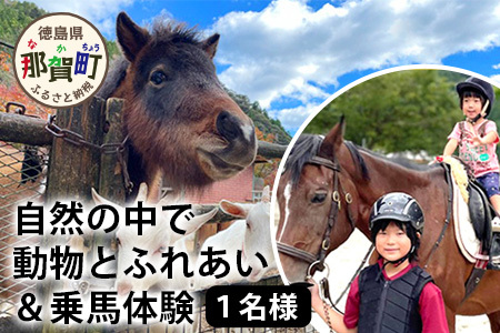 自然の中で動物とふれあい＆乗馬体験（1名）CC-1 徳島 那賀 体験 乗馬 乗馬体験 動物とふれあい アウトドア レジャー 1名様 1枚【体験チケット】