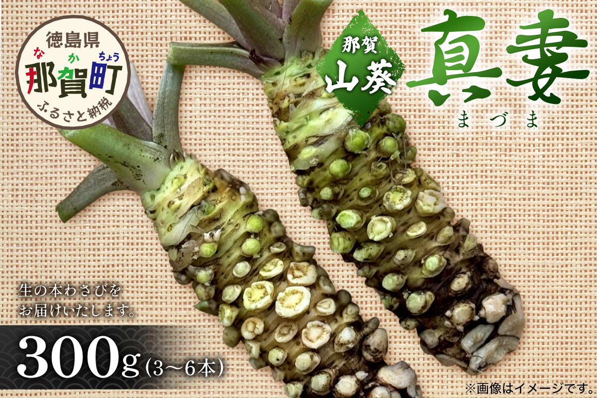 那賀わさび (真妻) 約300g 3～6本【徳島県 那賀町 生産者直送 産地直送 本わさび わさび ワサビ 生わさび 山葵 野菜 香味野菜 国産 真妻 薬味 調味料 万能 新鮮】FN-08 那賀わさび (真妻) 約300g 3～6本