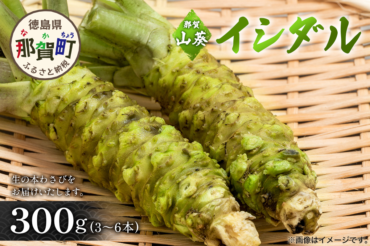 那賀わさび (イシダル) 約300g 3～6本【徳島県 那賀町 生産者直送 産地直送 本わさび わさび ワサビ 生わさび 山葵 野菜 香味野菜 国産 イシダル 薬味 調味料 万能 新鮮】FN-13 那賀わさび (イシダル) 約300g 3～6本