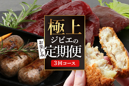 【ジビエ定期便 3回配送】国産 徳島県産【阿波地美栄】極上ジビエのお試し定期便 [徳島 那賀 ジビエ じびえ 阿波地美栄 地美栄 鹿 鹿肉 定期便 3回 鹿ロース肉 フランクフルト ウィンナー ソーセージ 焼肉用 しか肉 鹿スジ肉 鹿スジ丼 丼 コロッケ 冷凍 冷凍コロッケ]【NH-39】