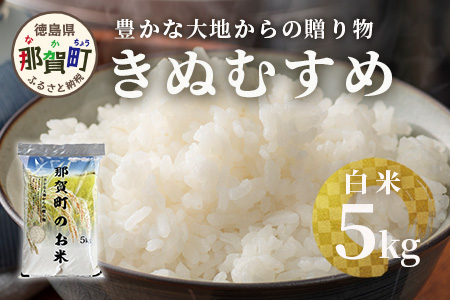 「令和6年産 新米 先行受付」徳島県那賀町相生産 きぬむすめ 白米 5kg 1袋 「2024年10月上旬より発送」【徳島 那賀 国産 徳島県産 お米 こめ おこめ 米 ご飯 ごはん 白ご飯 白米 5キロ 和食 おにぎり お弁当 白米 精米 新米 お取り寄せ 産地直送】YS-34