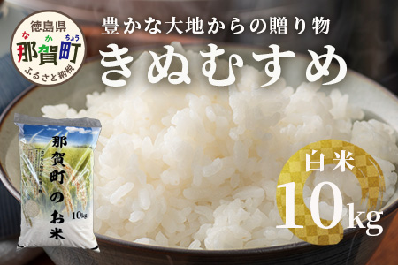 「令和6年産 新米 先行受付」徳島県那賀町相生産 きぬむすめ 白米 10kg 1袋「2024年10月上旬より発送」【徳島 那賀 国産 徳島県産 お米 こめ おこめ 米 ご飯 ごはん 白ご飯 白米 10キロ 和食 おにぎり お弁当 白米 精米 おいしい 食べて応援 お取り寄せ 産地直送】YS-35