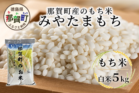 那賀町相生産 みやたまもち 白米 5kg 1袋【徳島 那賀 国産 徳島県産 ミヤタマモチ お米 こめ おこめ 餅米 もち米 お餅 モチ米 米 白米 5キロ 餅 お正月 おはぎ 赤飯 おこわ ちまき 多用途 おいしい 食べて応援 お取り寄せ 産地直送】YS-42