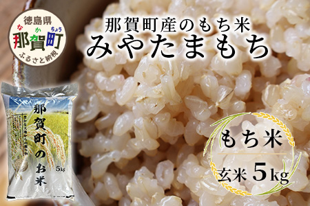 那賀町相生産 みやたまもち 玄米 5kg 1袋【徳島 那賀 国産 徳島県産 ミヤタマモチ お米 こめ おこめ 餅米 もち米 お餅 モチ米 米 玄米 5キロ 餅 お正月 おはぎ 赤飯 おこわ ちまき 多用途 おいしい 食べて応援 お取り寄せ 産地直送】YS-43