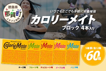 【大塚製薬】カロリーメイト ブロック 4本入り 合計60箱 5種類×各12箱【徳島 那賀 カロリーメイト チョコ バニラ メープル チーズ フルーツ ビタミン ミネラル たんぱく質 脂質 糖質 5大栄養素 バランス栄養食 栄養補給 仕事 勉強 スポーツ 防災 災害 地震 非常食 常備食 備蓄 受験 受験応援 新生活 大塚製薬】MS-2