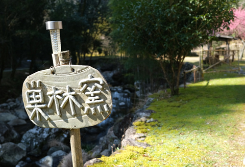 【巣林窯】土瓶