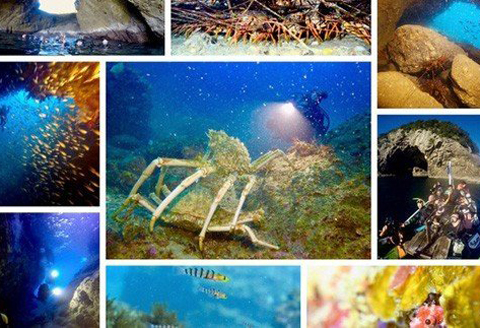 徳島・日和佐NAUIスクーバダイバー認定コース（資格取得コース）３日間講習