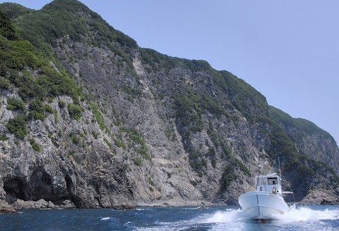 絶景千羽海崖を海から！うみがめマリンクルーズご招待４名様