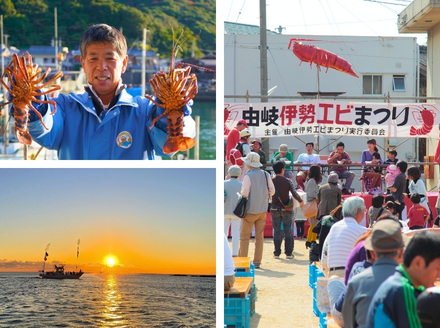 【春期50セット限定】水産庁長官賞受賞！日和佐町漁協直送「天然活伊勢えび」たっぷり1kg（3～5尾）【４月中に獲れ次第発送分】伊勢海老 伊勢えび イセエビ 海老 天然 活 訳あり 1kg 徳島県 美波町 日和佐 産地直送 魚介類 海鮮 数量限定 期間限定 先行予約 お歳暮 お正月 お祝い