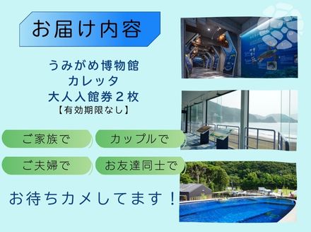 日和佐うみがめ博物館カレッタ入館券　【大人２名分】