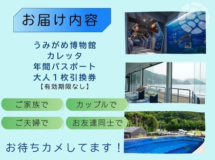 日和佐うみがめ博物館カレッタ　入館年間パス【大人1名分】