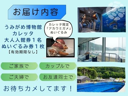日和佐うみがめ博物館カレッタ　【入館券大人１名と限定スピードくじ１回】