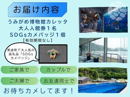 日和佐うみがめ博物館カレッタ　【入館券大人１名とSDGｓカメバッチ１つ】