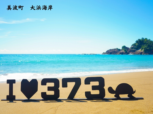 とろけるひわさプリン８個