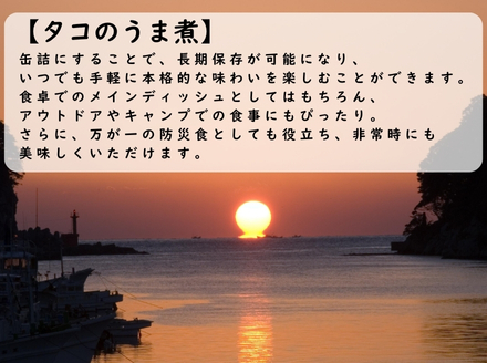 漁師たつ兄のタコのうま煮２缶