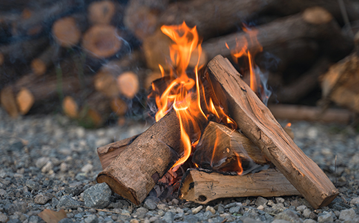 【SDGｓカメバッチ】と【森林の豊かさを守るエシカルな薪】樵木（こりき）薪照葉樹MIX 30cm 10kg