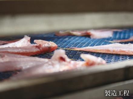 港から直送はまみや海産　美波の特選干物セット