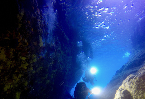 徳島・日和佐NAUIスクーバダイバー認定コース（資格取得コース）３日間講習