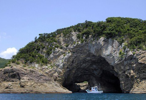 絶景千羽海崖を海から！うみがめマリンクルーズご招待４名様